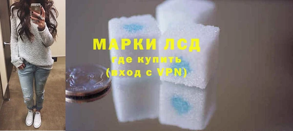 стаф Алзамай