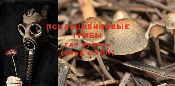 экстази Арсеньев