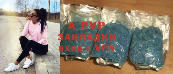 стаф Алзамай