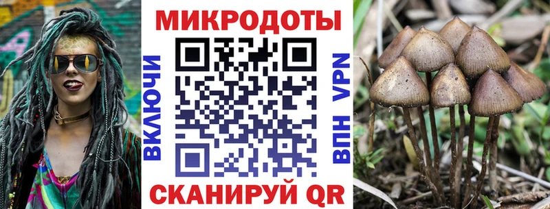 мориарти формула  как найти   Терек  Псилоцибиновые грибы Magic Shrooms 